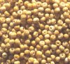 50g 6/0 Opaque White Picasso Seed Beads